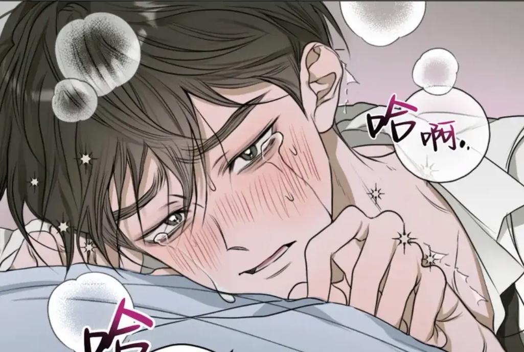 综艺4